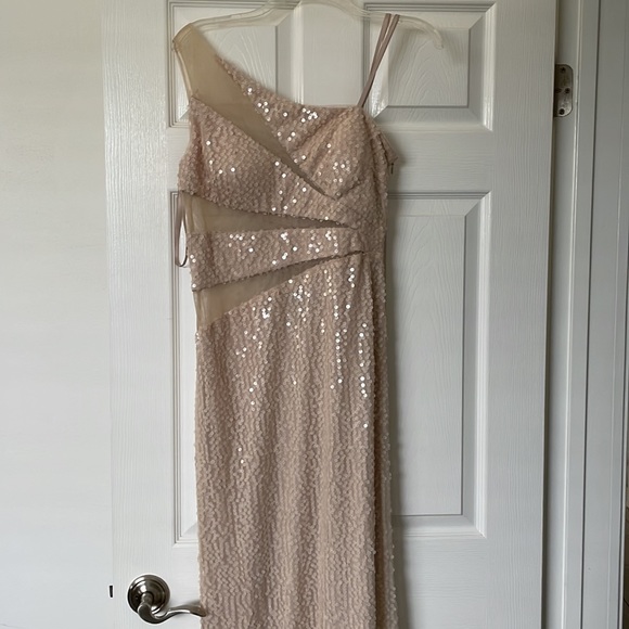 Adrianna Pappell Hailey Sequin Mesh Cutout Gown - Picture 9 of 9